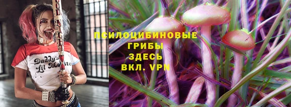 герыч Кострома