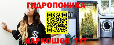 гидропоника Аргун