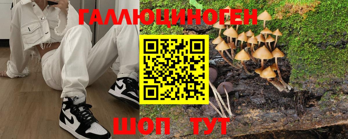 Галлюциногенные грибы прущие грибы Белебей