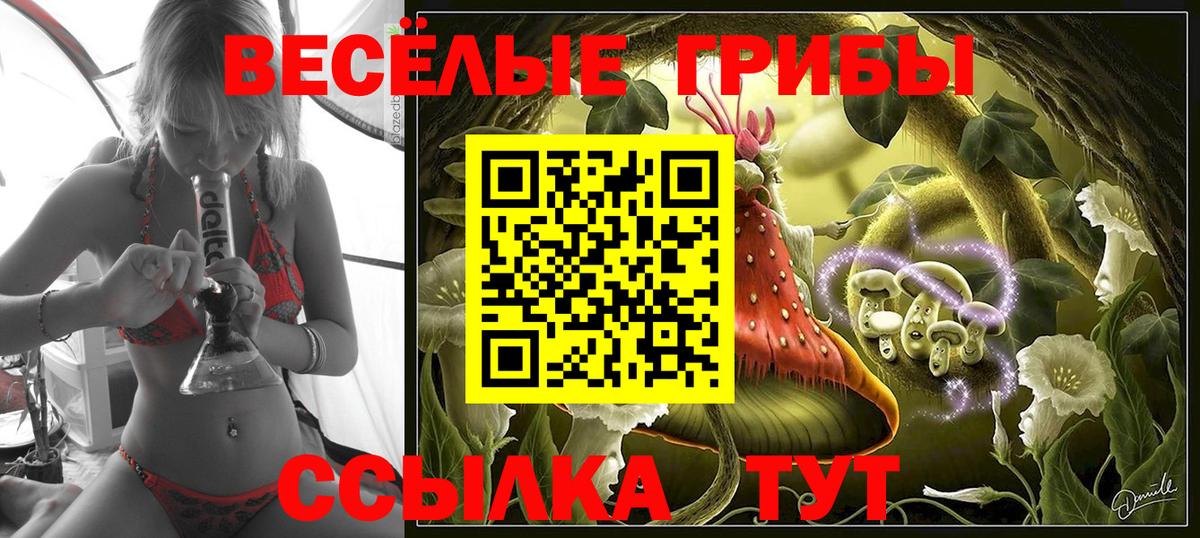Псилоцибиновые грибы Psilocybe Белебей