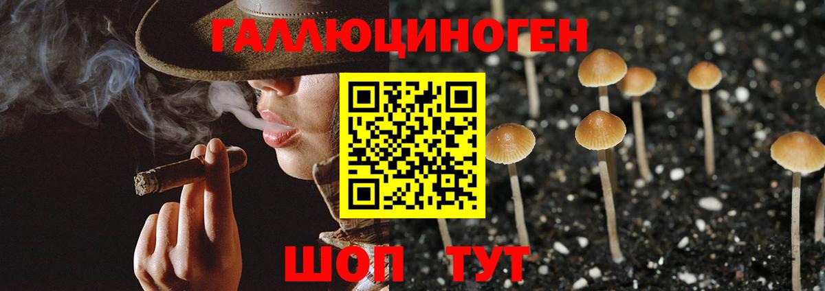 Галлюциногенные грибы мицелий  Вход с VPN  Белебей 